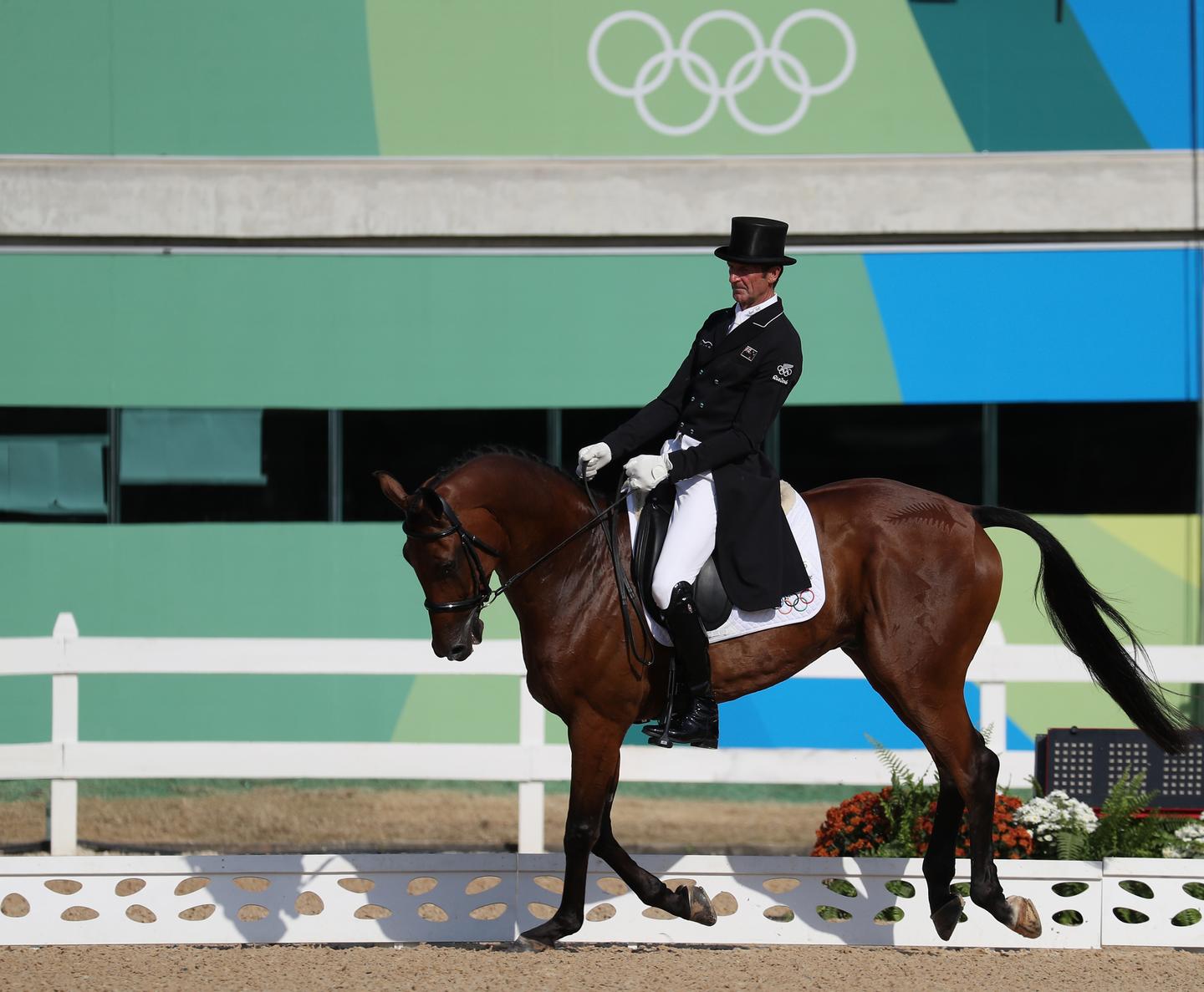 Solid dressage efforts by Todd and Price