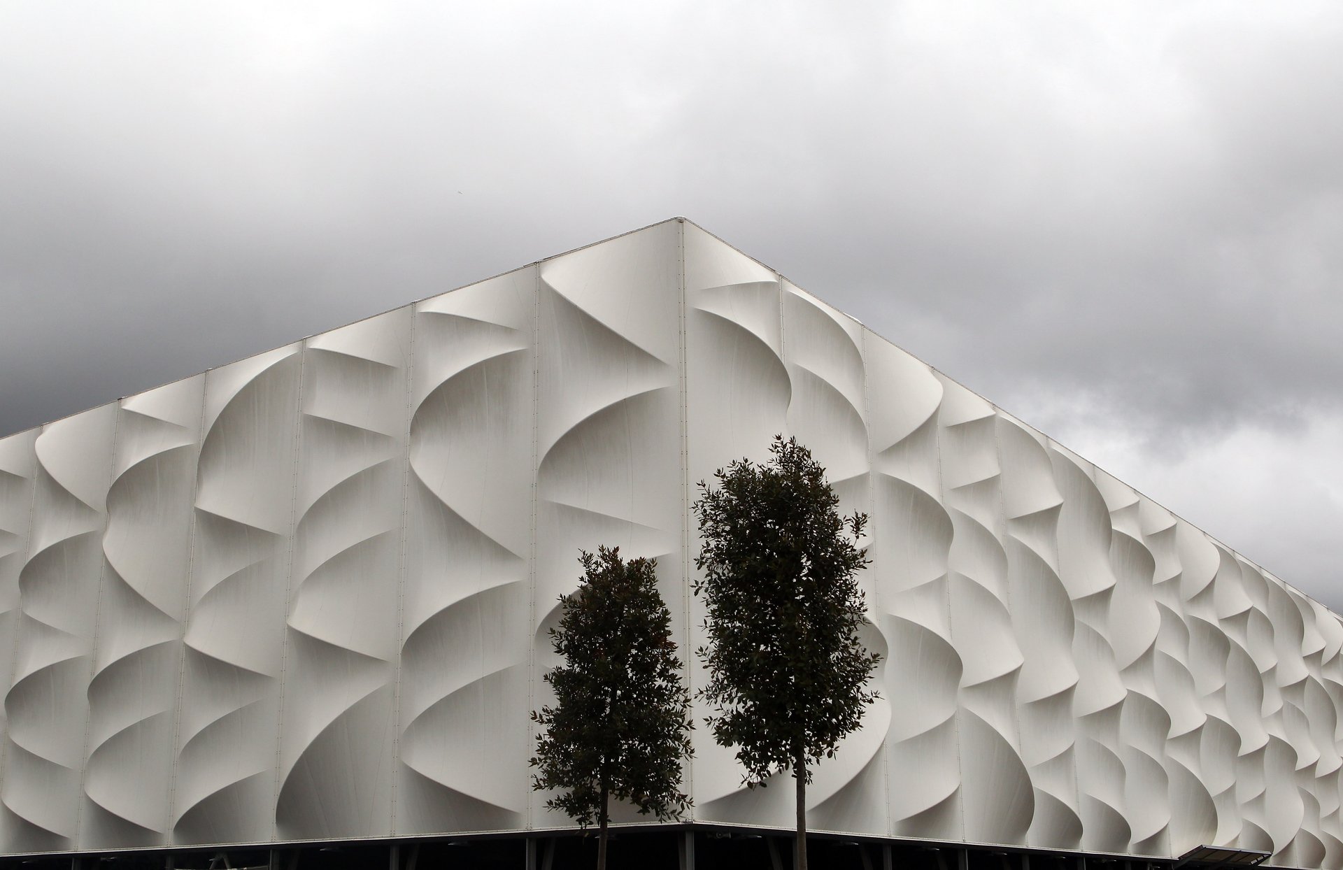 Tall Ferns at Olympic Qualifier
