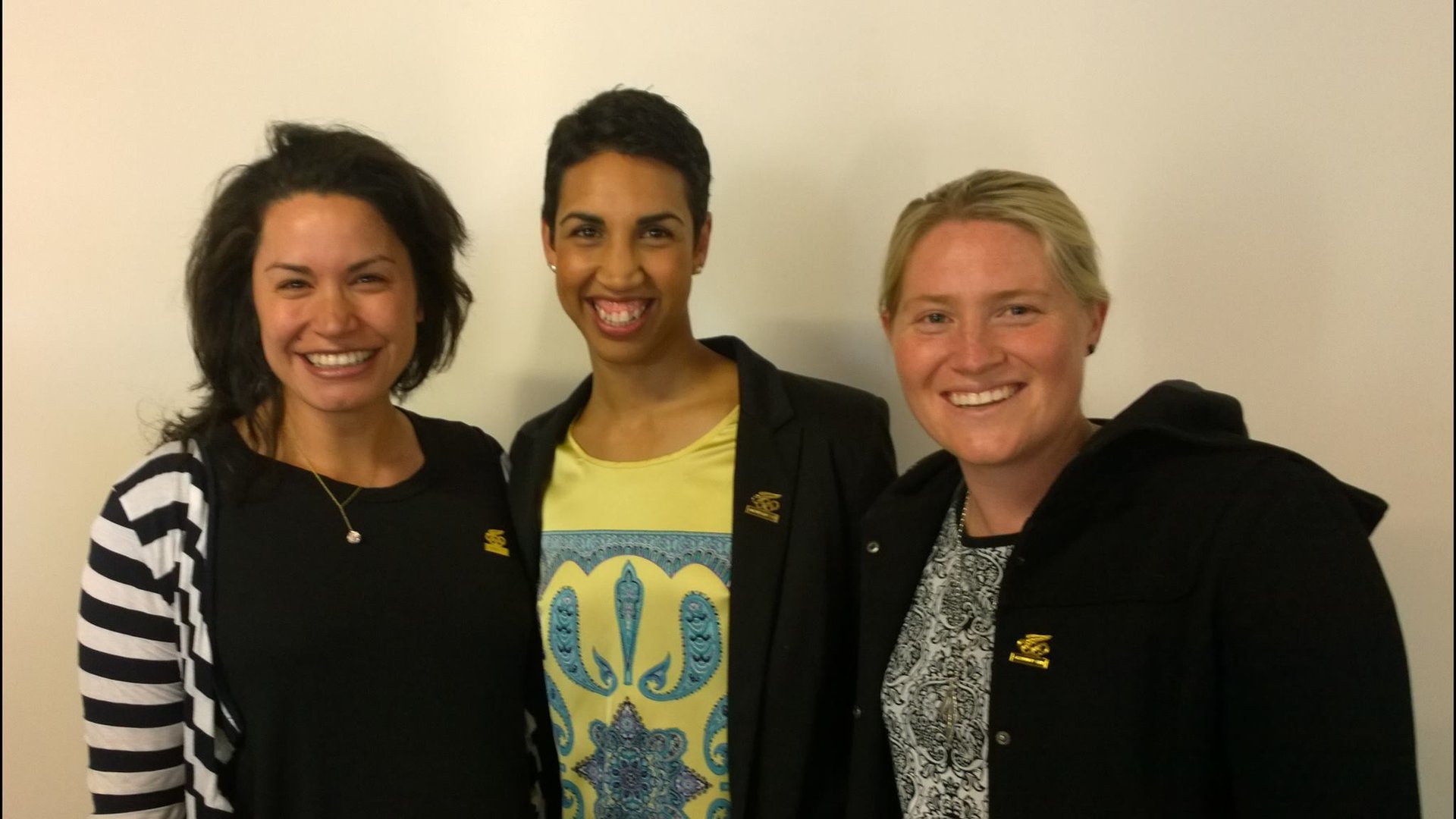 The Olympian's Pin - Sarah Cowley