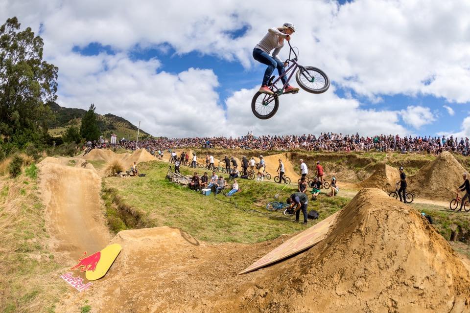 Eye on the Fern - Ellie Chew