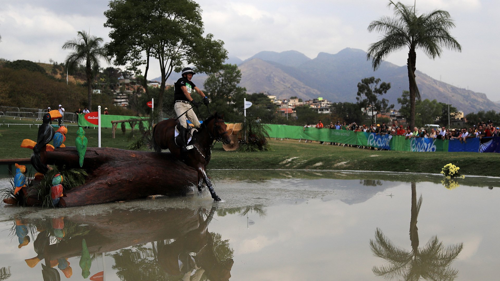 Todd leads equestrian fightback