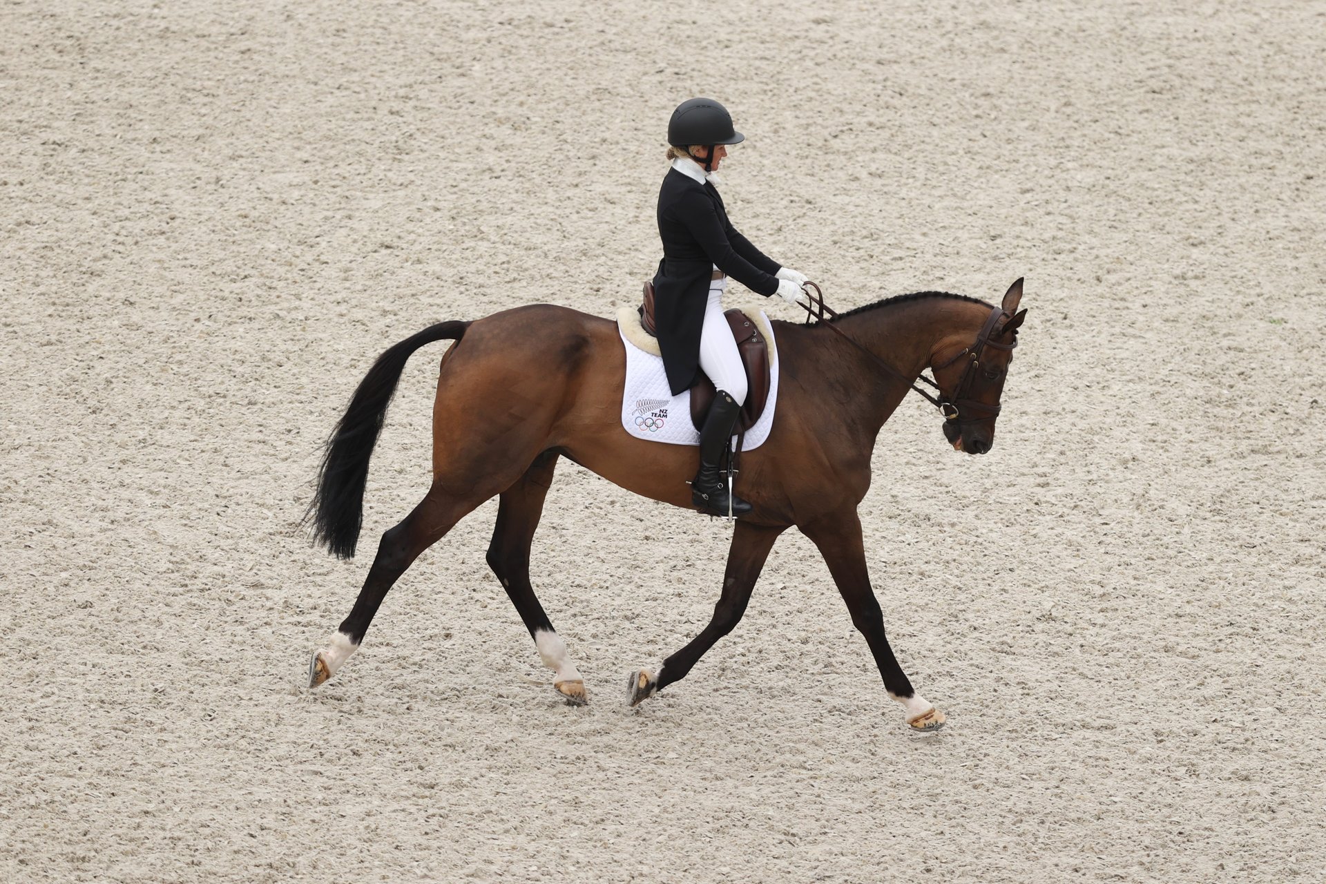 NZ solid in dressage