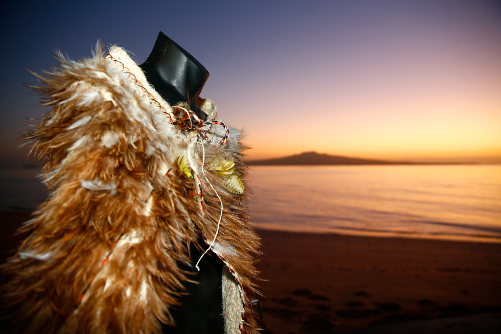 100 Years of The New Zealand Team