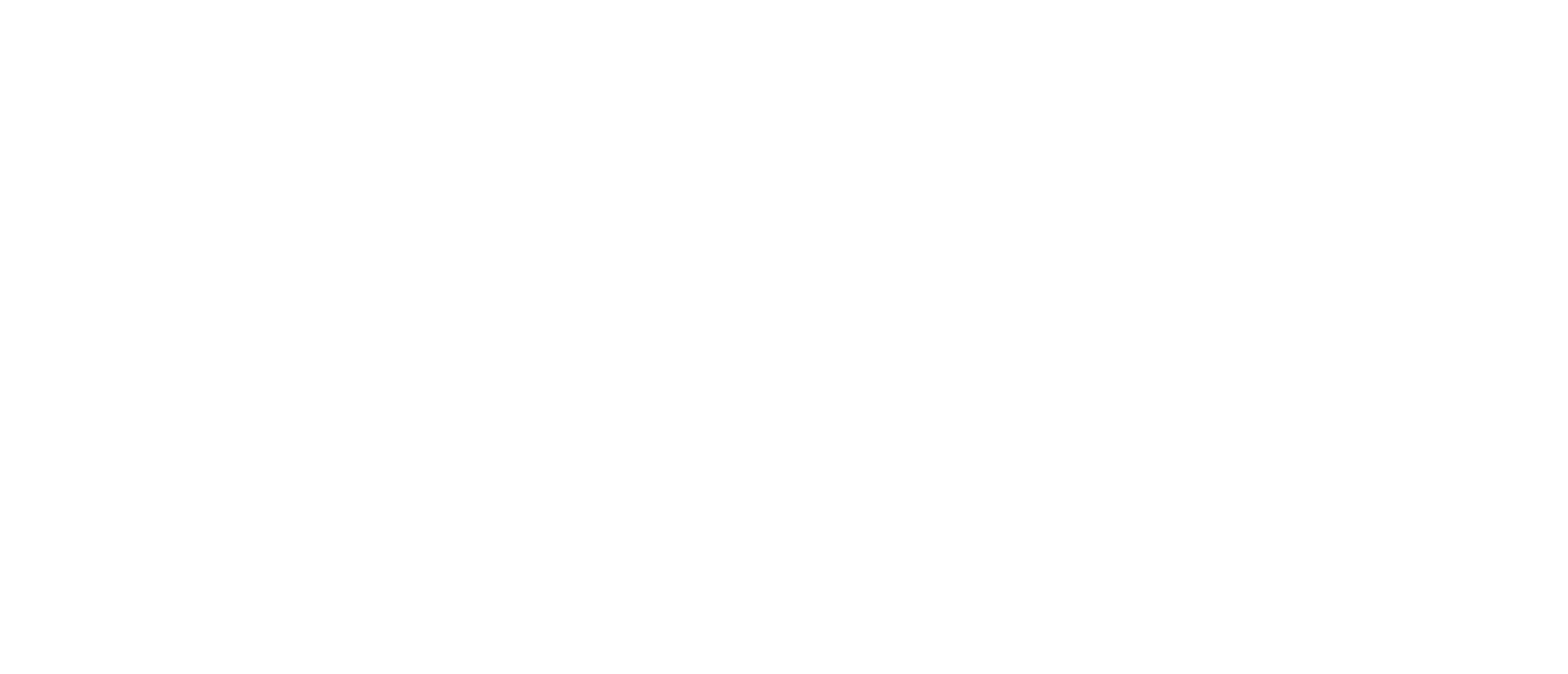 Partner logo 6
